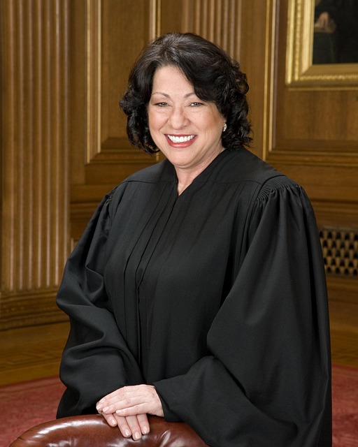 Lawyer, Attorney, Law, Judge