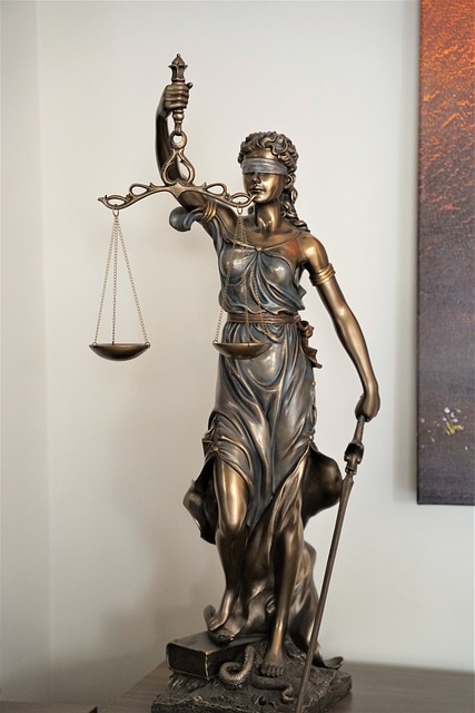 lawyer-attorney-law-judge-640x480-52911653.jpeg